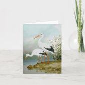 Weißstorch, Vogelbilder Karte (Vorderseite)
