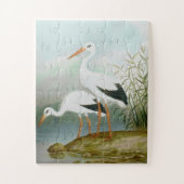 Weißstorch, Vogelbilder Puzzle (Vertikal)