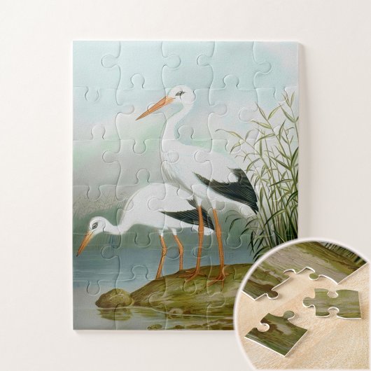 Weißstorch, Vogelbilder Puzzle