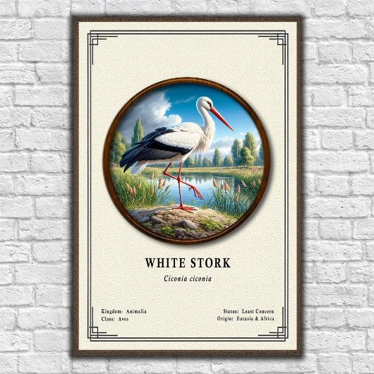 Weißstorch-Zoologie-Serie Poster