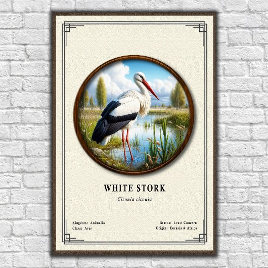 Weißstorch-Zoologie-Serie Poster