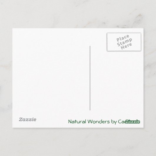 Weißstreifen Postkarte (Rückseite)