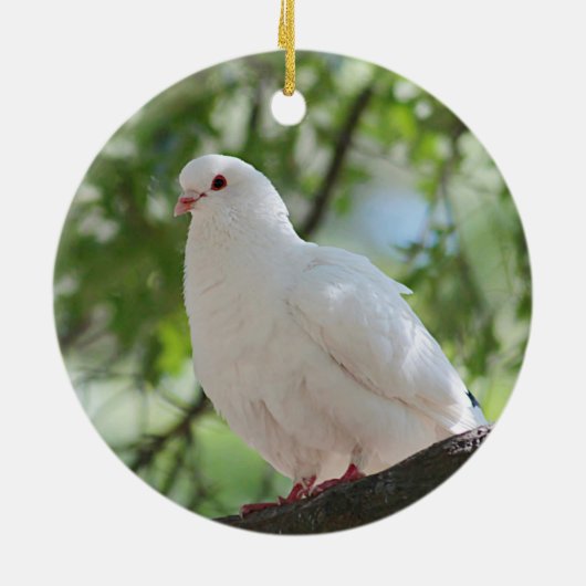 Weißtaube Keramikornament (Hinten)