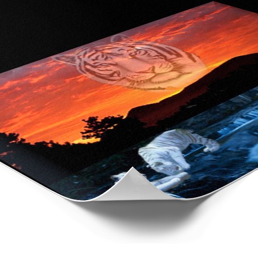 Weißtigers Poster (Ecke)