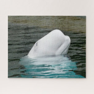 Weißwal Alaska Puzzle