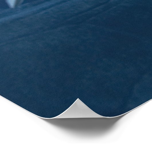 Weißwal (Delphinapterus leucas) Poster (Ecke)