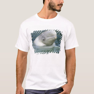 Weißwal, Delphinapterus leucas) T-Shirt