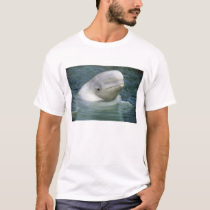 Weißwal, Delphinapterus leucas) T-Shirt