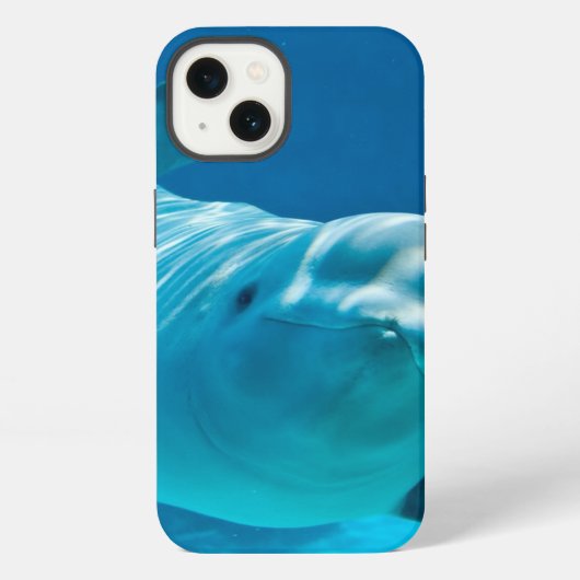Weißwal iPhone Hülle (Rückseite)