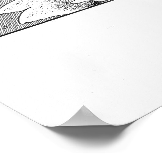 Weißwal-Poster Poster (Ecke)