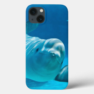 Weißwal-Wal iPhone 13 Hülle