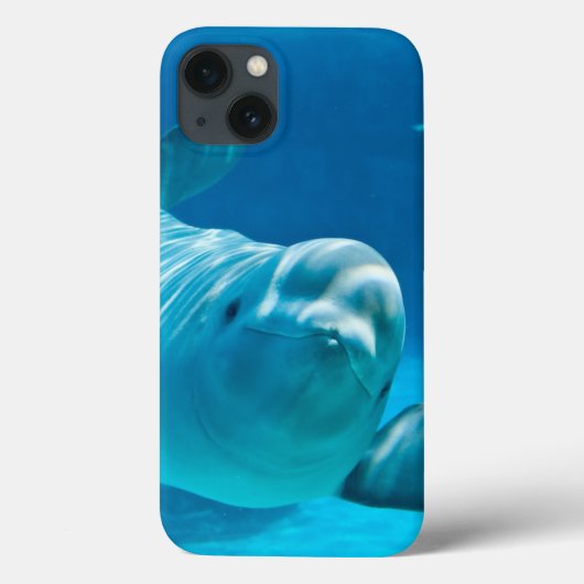Weißwal-Wal Case-Mate iPhone Hülle (Rückseite)