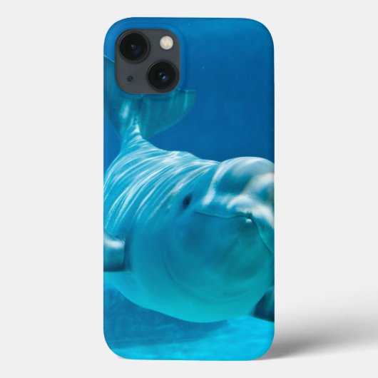 Weißwal-Wal Case-Mate iPhone Hülle (Rückseite)