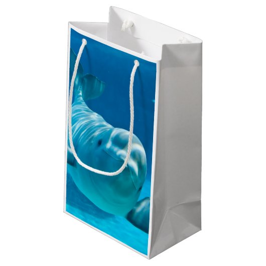 Weißwal-Wal Kleine Geschenktüte (Rückseite Schrägansicht)