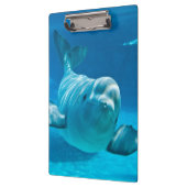 Weißwal-Wal Klemmbrett (Links)