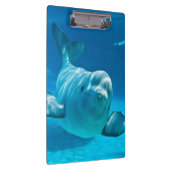 Weißwal-Wal Klemmbrett (Rechts)