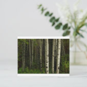Weißwald Postkarte (Stehend Vorderseite)