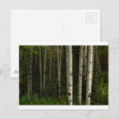 Weißwald Postkarte (Vorne/Hinten)