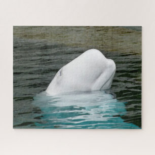 Weißwale Puzzle