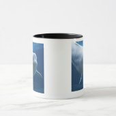 Weißwalwal (Delphinapterus leucas) Tasse (Zentrum)