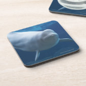 Weißwalwal (Delphinapterus leucas) Untersetzer (Linke Seite)