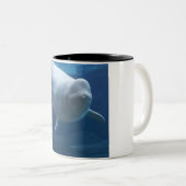 Weißwalwal (Delphinapterus leucas) Zweifarbige Tasse (VorderseiteRechts)