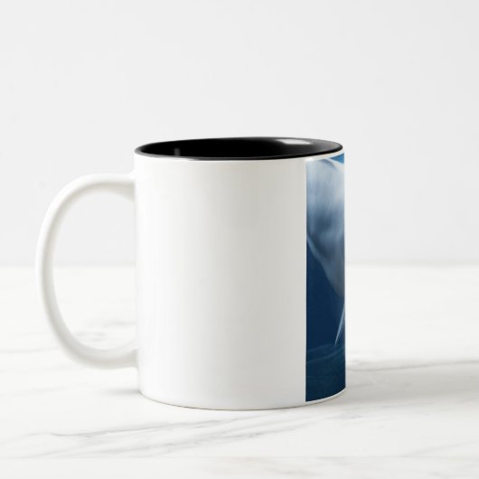 Weißwalwal (Delphinapterus leucas) Zweifarbige Tasse (Links)