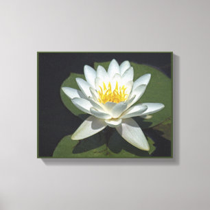 WEISSWASSERLIEFERUNG LEINWANDDRUCK