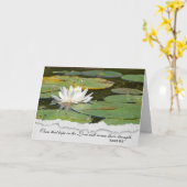 Weißwasserlilie aus Beileid Karte (Gelbe Blume)