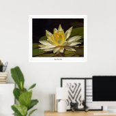 Weißwasserlilie Poster (Heimbüro)