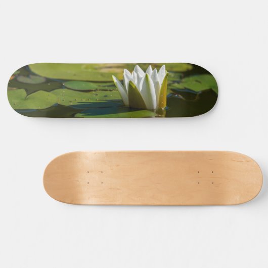 Weißwasserlilie Skateboard (Horizontal)