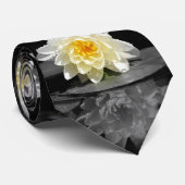 Weißwasserlily-Fotografie Krawatte (Gerollt)