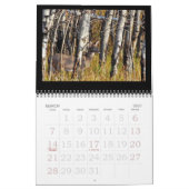 Weißwedelhirsch an der Düne! Kalender (Mär 2027)
