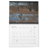 Weißwedelhirsch an der Düne! Kalender (Jan 2027)