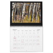 Weißwedelhirsch an der Düne! Kalender (Mär 2026)