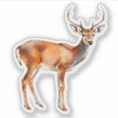 Weißwedelhirsch Aufkleber (Vorderseite)