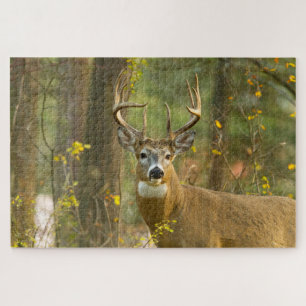 Weißwedelhirsch Bock Whitefish, Montana Puzzle