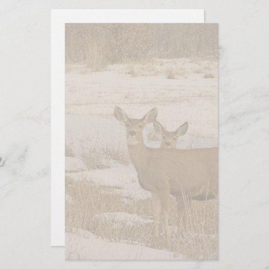 Weißwedelhirsch-Briefpapier Briefpapier (Vorne/Hinten)