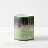 Weißwedelhirsch-Dollar Kaffeetasse (Mittel)