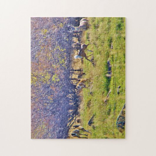 Weißwedelhirsch im Big Horn, Wyoming Puzzle (Vertikal)