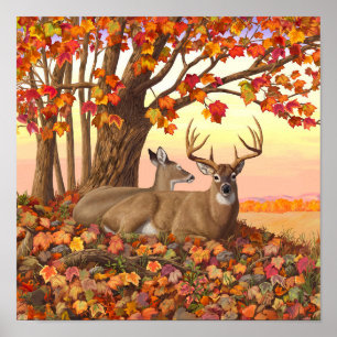 Weißwedelhirsch im Herbst, New England Herbstfarbe Poster