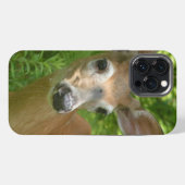 Weißwedelhirsch  iPhone hülle (Rückseite (Horizontal))