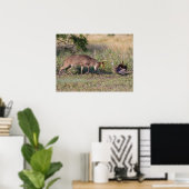 Weißwedelhirsch kämpft mit Wildtruthahn Poster (Heimbüro)