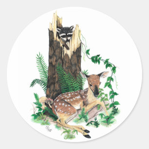 Weißwedelhirsch-Kitz-und Waschbär-Aufkleber Runder Aufkleber