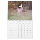 Weißwedelhirsch-Naturkalender Kalender (Mär 2027)