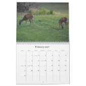 Weißwedelhirsch-Naturkalender Kalender (Feb 2027)