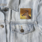 Weißwedelhirsch, Odocoileus virginianus, Button (Beispiel)