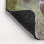 Weißwedelhirsch (Odocoileus virginianus) Männchen Mousepad (Ecke)