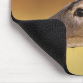 Weißwedelhirsch, Odocoileus virginianus, Mousepad (Ecke)