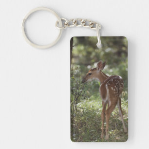 Weißwedelhirsch, Odocoileus virginianus Schlüsselanhänger